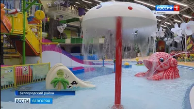 Белгородский аквапарк откроется осенью — FONAR.TV