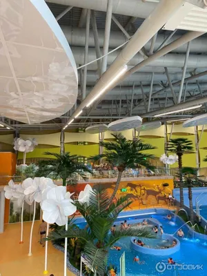 Белгородский аквапарк откроется 4 декабря | Открытый Белгород | Дзен
