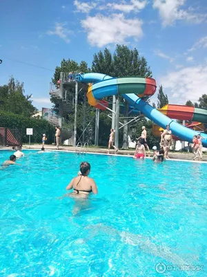 Фото: Аквапарк Пингвин, аквапарк, Херсонская ул., 57А, Луганск — Яндекс  Карты