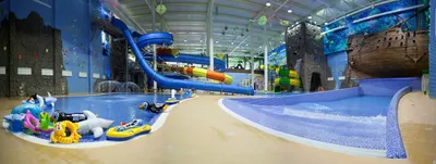 MAMADO - \"Нептун\", бассейн, обучение плаванию детей от 4 лет и взрослых на  Фрунзе, Томск
