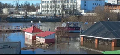 В Туле Пролетарская набережная превратилась в \"аквапарк\" из-за разлива Упы  - Новости Тулы и области - 1tulatv