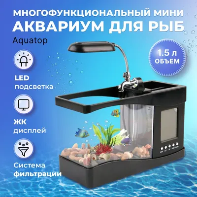 Умный аквариум Xiaomi Mijia Smart Fish Tank Black, черный, 44.6 х 24.6 х  29.5 см - отзывы покупателей на маркетплейсе Мегамаркет | Артикул  товара:600012629310