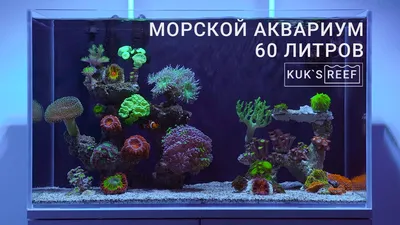 Аквариум Xiaomi Geometry Mini Lazy Fish Tank | Бесплатная доставка по России