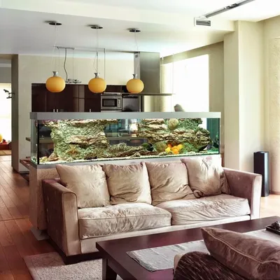 Большой аквариум в современной гостиной - Дизайн інтер'єру - Статьи