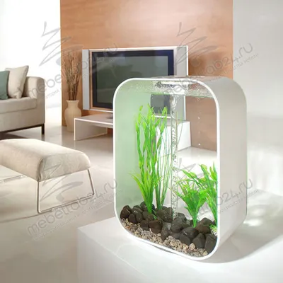 Стенка в гостиную с аквариумом - 78 фото