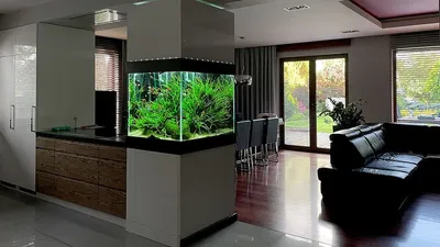 Аквариум в интерьере гостиной: Искусство декорирования комнаты водой (33  фото)
