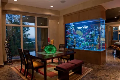 Зонирование гостиной аквариумом | Смотреть 58 идеи на фото бесплатно
