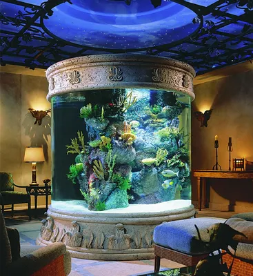 Большой аквариум для гостиной аквариум зернистость ультрабелая перегородка  настенный экран крыльцо стеклянный нижний фильтр | AliExpress
