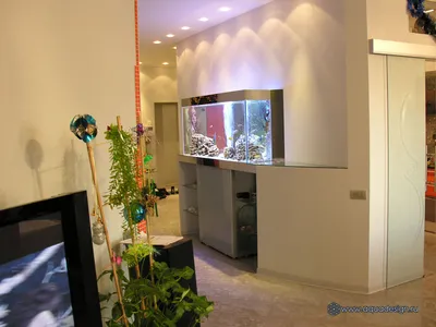 Аквариум для гостиной домашний прямоугольный простой современный большой и  средний стеклянный аквариум | AliExpress