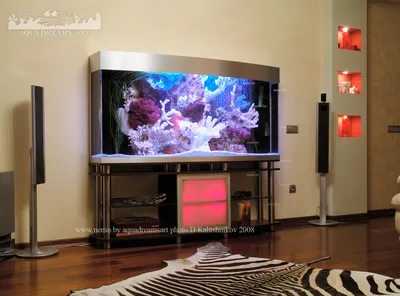 Оригинальный интерьер гостиной со встроенным аквариумом