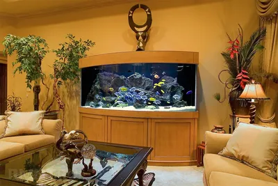 Подводное царство в вашем доме — аквариум в интерьере | Строительный портал  RMNT.RU | Дзен