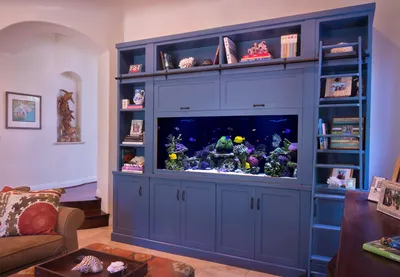 Большие аквариумы в квартире - 33 фото