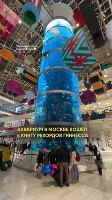 А вы знали, что аквариум в ТЦ... - Москва Север САО | Facebook