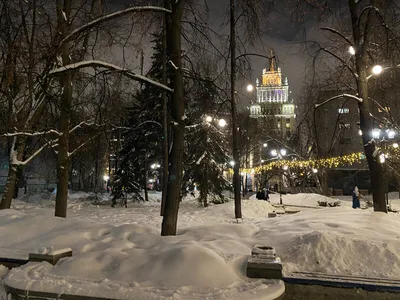 Самый большой аквариум Москвы не закрыли после ЧП в Берлине - Российская  газета