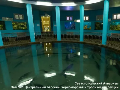 Севастопольский морской Аквариум-музей