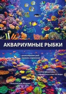 Аквариумные рыбки - купить с доставкой по выгодным ценам в  интернет-магазине OZON (148762803)