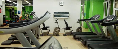 ALEX FITNESS Челябинск 2024 | ВКонтакте