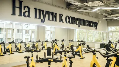 ALEX fitness Кудрово, фитнес-клуб на Ленинградской улице в Кудрово -  отзывы, фото, цены на абонементы, телефон и адрес - Zoon.ru