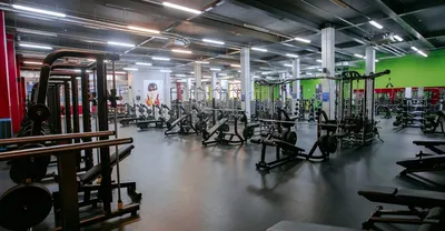 Волгоградский Аlex Fitness наказали за секс в рекламе