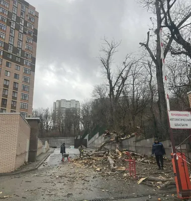 Отзывы о «Шоколад», Ставрополь, пер. Крупской — Яндекс Карты