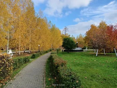 Временно не работает: Пляж Александровского парка, пляж, городской округ  Ульяновск, Засвияжский район, Александровский парк — Яндекс Карты