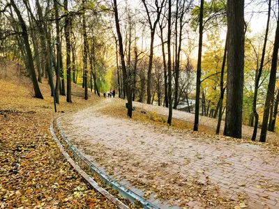 Сауна Александровский сад. Сауны Нижнего Новгорода