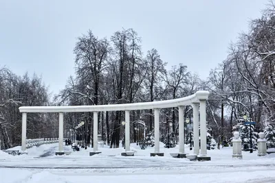 Александровский сад, Тюмень: Отзывы