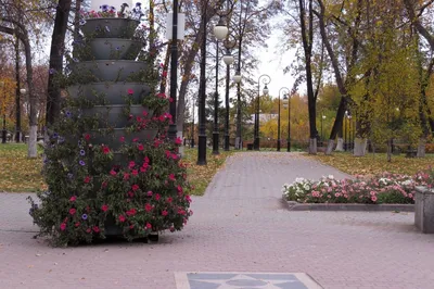 Александровский загородный сад, Тюмень. Фото и описание, история, адрес,  отели рядом, как добраться – Туристер.Ру