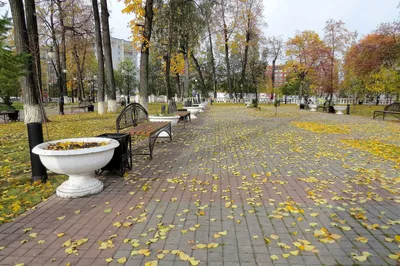 Александровский загородный сад, Тюмень. Фото и описание, история, адрес,  отели рядом, как добраться – Туристер.Ру