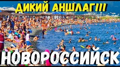 ЖК Алексино, Новороссийск | Официальный сайт застройщиков