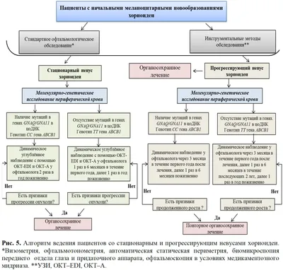 Алгоритм Мытья Рук В Саду Картинки – Telegraph