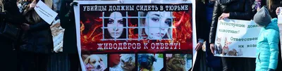 Алина Орлова, Хабаровск: живодерка просится домой, что не устраивает  девушку в СИЗО » Новости Кыргызстана и Центральной Азии