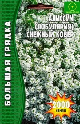 Купить Алиссум (Лобулярия) СНЕЖНЫЙ КОВЕР