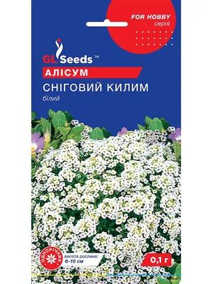 🌱 Алиссум (Бурачок) обыкновенный Снежный ковер по цене от 66 руб: семена -  купить в Москве с доставкой - интернет-магазин Все Сорта