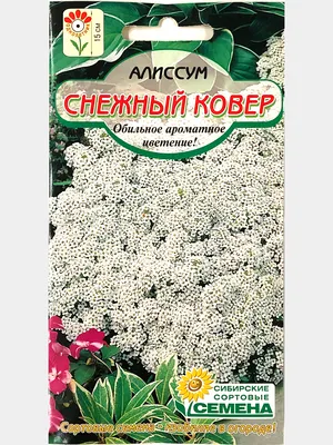 ТМ ВЕЛЕС Алиссум Снежный ковер 0,2г (ID#700726843), цена: 3.20 ₴, купить на  Prom.ua