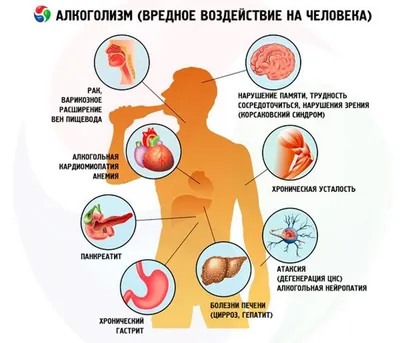 Женский алкоголизм неизлечим? Рассказываю, откуда взялся этот миф | Клиника  доктора Лазарева | Дзен