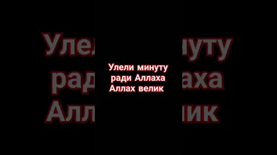 Аллах велик: истории из жизни, советы, новости, юмор и картинки — Все посты  | Пикабу