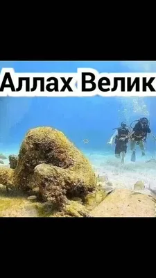 Аллаху акбар – «Аллах превыше всего» «Аллах велик» Он превыше и того, что  мы думаем о Нем, Он непостижим для.. | ВКонтакте