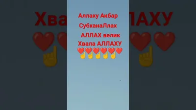 Любовь Ч. | АЛЛАХУ АКБАР!АЛЛАХ ВЕЛИК! | Дзен