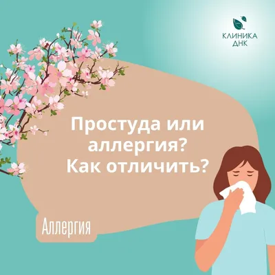 Сезонная аллергия у взрослых: периоды, симптомы и способы лечения -  полезные статьи от специалистов - Медицинский центр «АудиоМед»