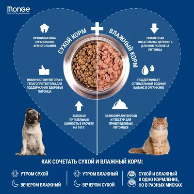 Купить Royal Canin Anallergenic - корм для собак при аллергии на 🐕  Shop-Pet.By ⏩️ в Минске【с доставкой】по Беларуси ✓ АКЦИИ и СКИДКИ✓