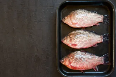 Главное, что нужно знать об аллергии на рыбу, морепродукты и моллюсков