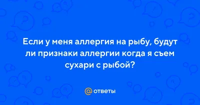 Пищевая аллергия у собак: признаки, симптомы, лечение, корм, диета