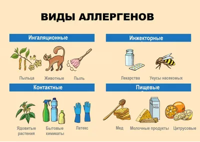 У человека симптомы пищевой аллергии на такие продукты, как рыба, молоко и  яйца. пищевая аллергия, | Премиум векторы