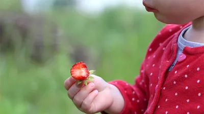 Пищевая аллергия