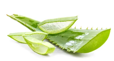 Aloe vera: 9 health benefits