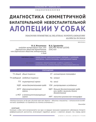 Алопеция у собак: причины, симптомы, диагностика и лечение