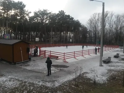 В Воронеже рядом с «Алыми парусами» появится храм в византийском стиле