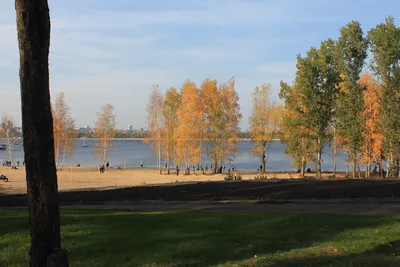 В Воронеже из-за общегородского выпускного закроют на шесть дней парк «Алые  паруса» - KP.RU