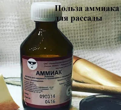 АММИАК (20%) р-р наруж. фл. 10% 100 мл — купить в аптеке Максавит. Низкие  цены, инструкция по применению, отзывы, аналоги, заказ лекарств онлайн в  интернет-аптеке Максавит